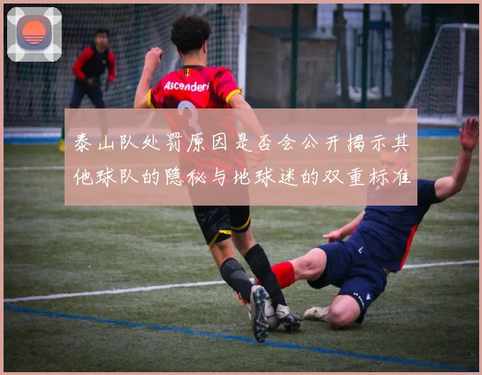 泰山队处罚原因是否会公开揭示其他球队的隐秘与地球迷的双重标准