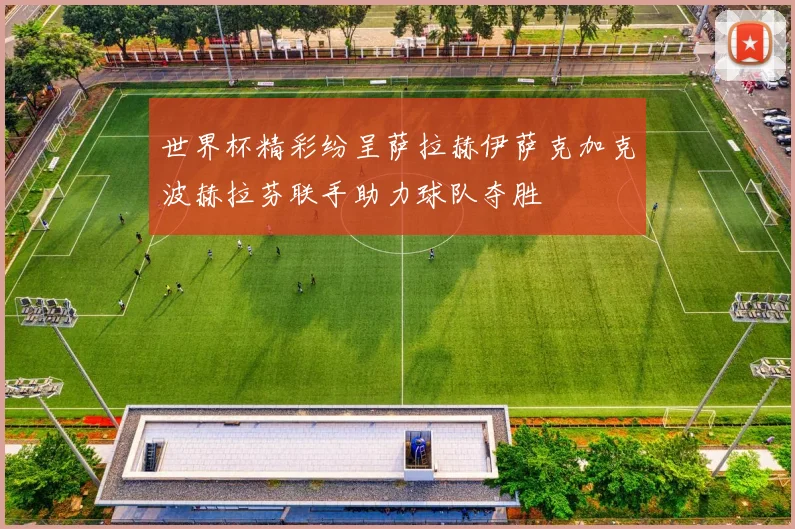 世界杯精彩纷呈萨拉赫伊萨克加克波赫拉芬联手助力球队夺胜